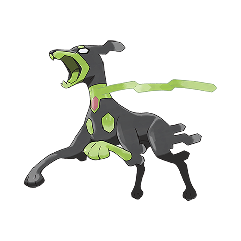 Zygarde (10)