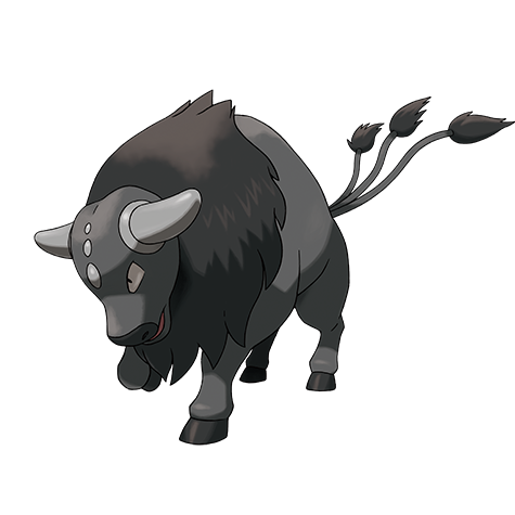 Tauros (Paldea Combat Breed)