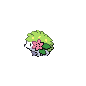 Shaymin (Land)