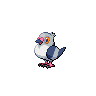 Pidove shiny sprite
